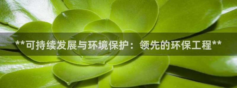 彩名堂合作655560：**可持续发