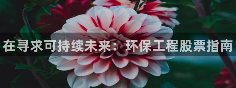 彩名堂手机客户端：在寻求可持续未来：