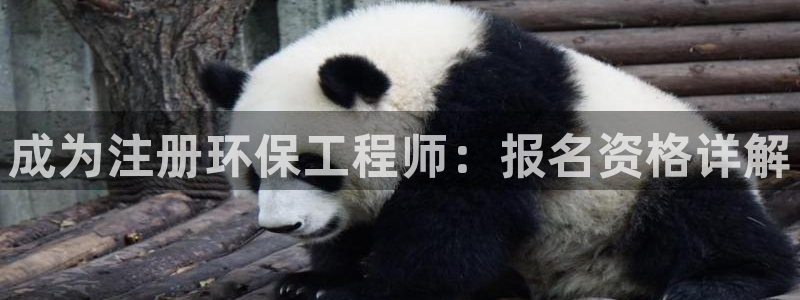 彩名堂改名稻草人了吗知乎：成为注册环
