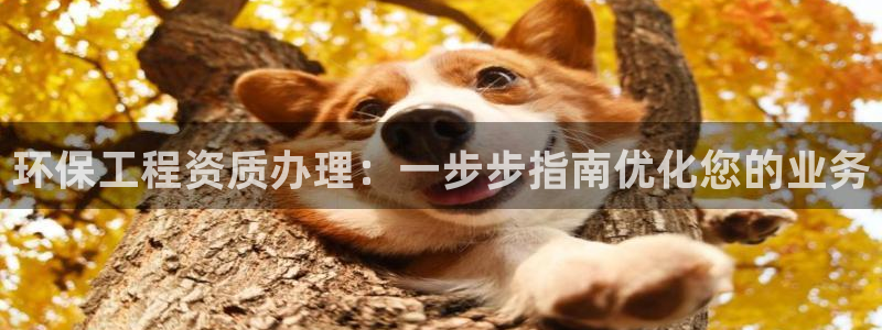 下载彩名堂预测计划软件安装：环保工程