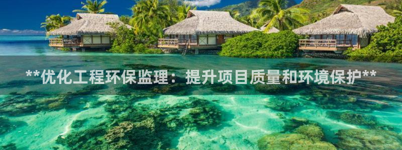 彩名堂和01计划哪个好：**优化工程