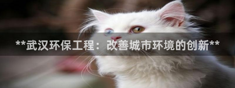 彩名堂双彩网：**武汉环保工程：改善