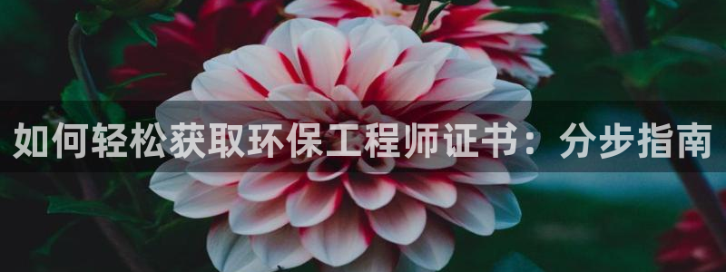 彩名堂3d：如何轻松获取环保工程师证