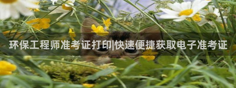 彩名堂预测官网：环保工程师准考证打印