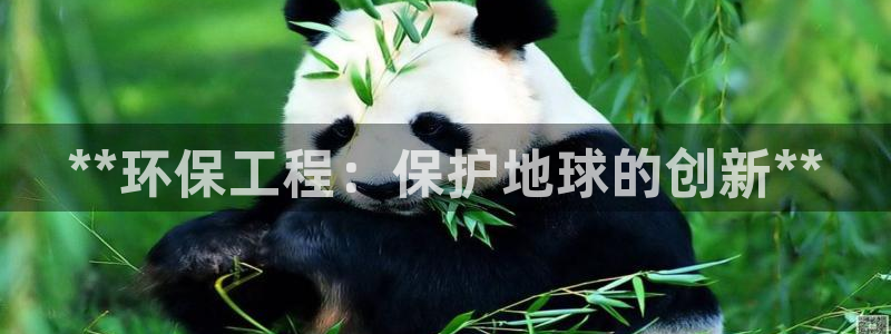 彩名堂好用还是千里马好用：**环保工