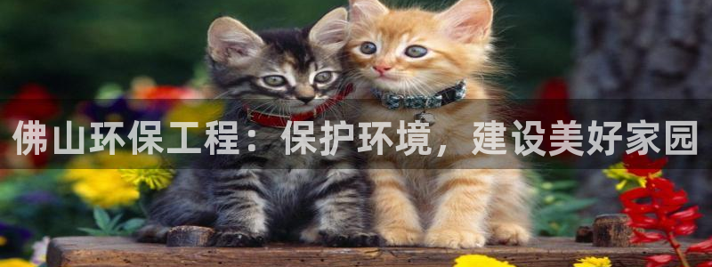 彩名堂是什么：佛山环保工程：保护环境