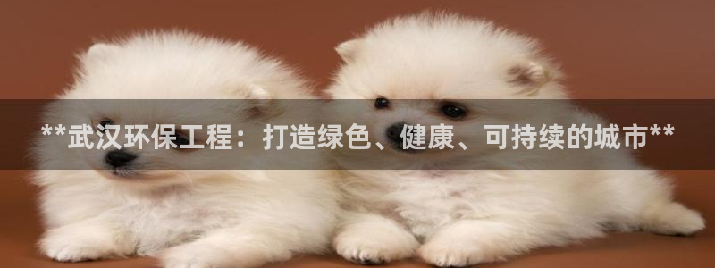 彩名堂计划官方下载网址：**武汉环保