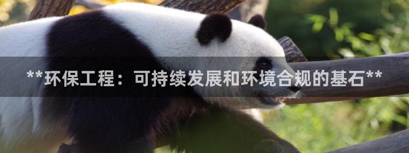 彩名堂最新免费计划官网：**环保工程