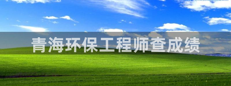 彩名堂客户：青海环保工程师查成绩