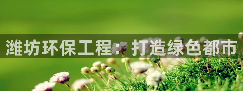 彩名堂免费计划下载：潍坊环保工程：打