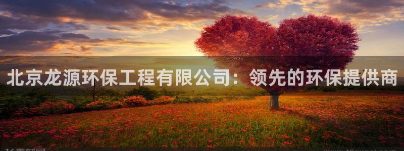彩名堂怎么跟计划才不连挂呢：北京龙源