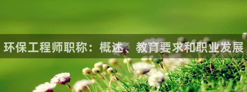 彩名堂怎么用不了了：环保工程师职称：