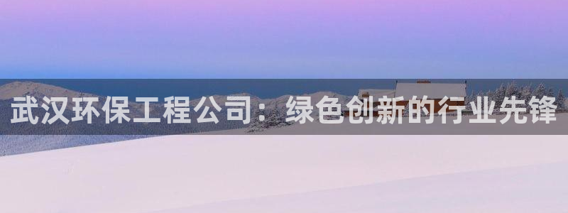 彩名堂5.0计划：武汉环保工程公司：
