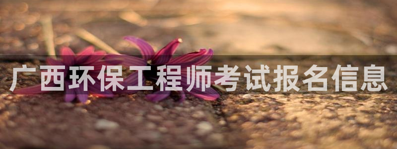 彩名堂免费计划5.0使用方法是什么：广西环保工程师考试报名信息