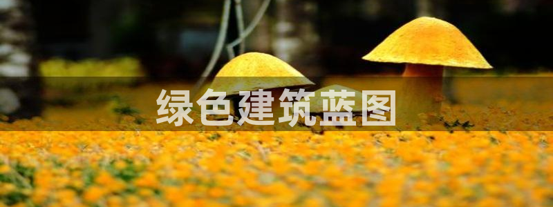 彩名堂客户端是永久免费吗是真的吗安全吗：绿色建筑蓝图