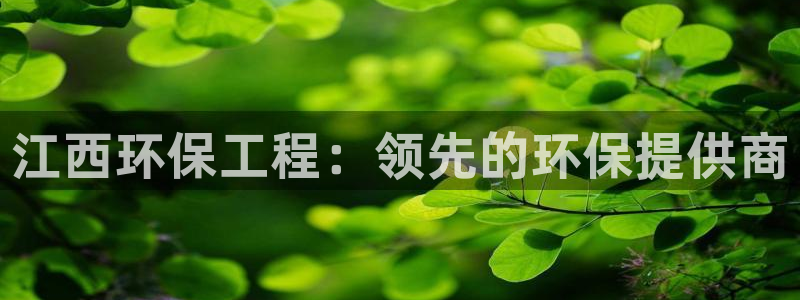 彩名堂：江西环保工程：领先的环保提供