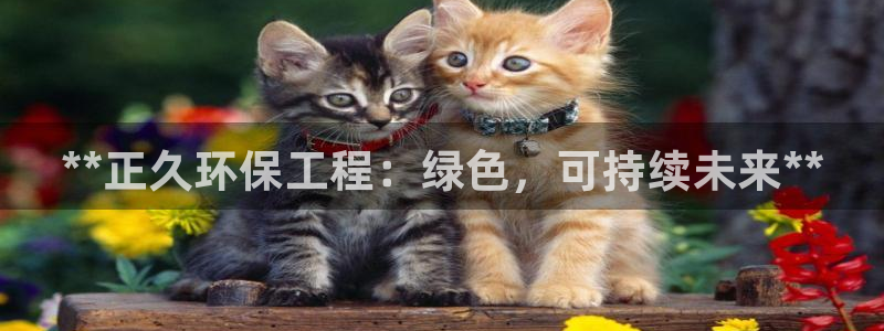 彩名堂加拿大怎么买准确率高：**正久