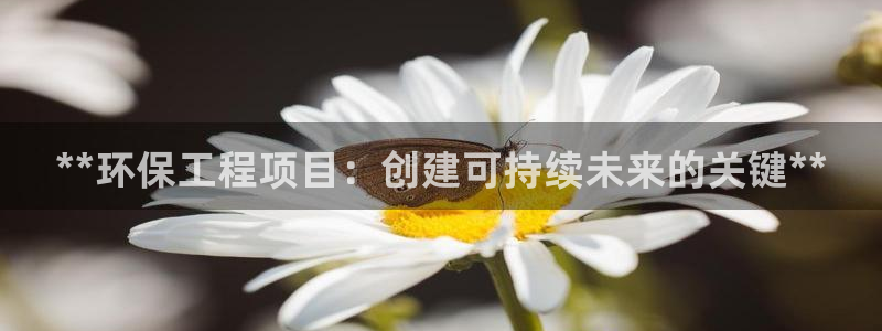 正规彩名堂官网计划：**环保工程项目：创建可持续未来的关键**