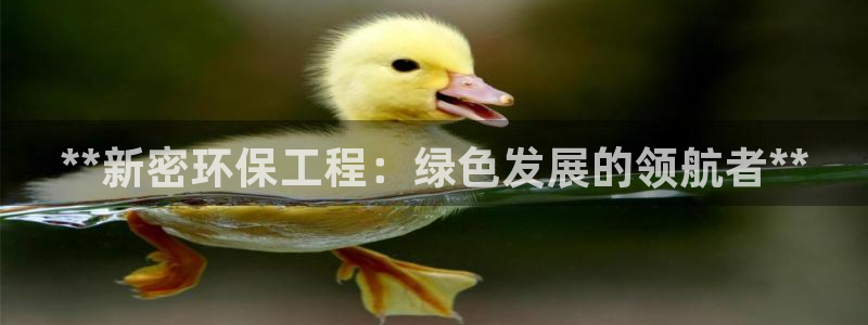 彩名堂手机版官网：**新密环保工程：
