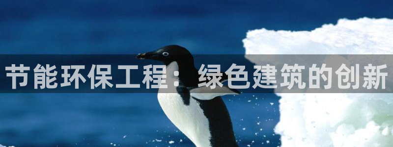 彩名堂最新计划app下载：节能环保工
