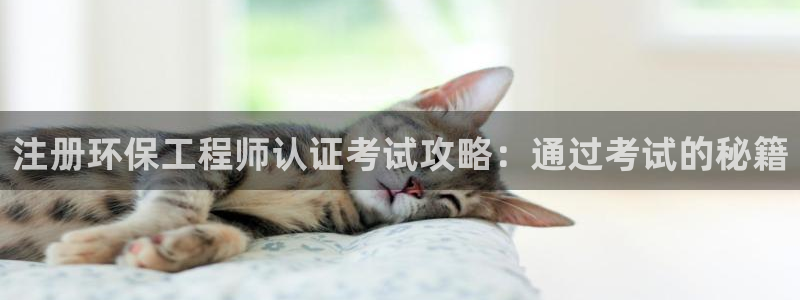 彩名堂.netnet：注册环保工程师