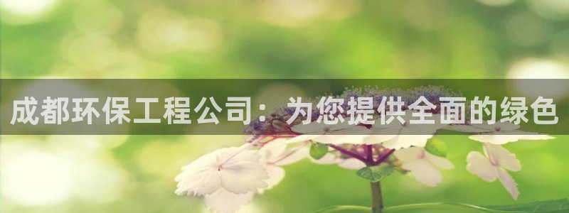 彩名堂官网网页计划：成都环保工程公司