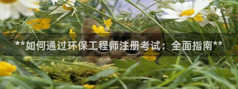 彩名堂：**如何通过环保工程师注册考