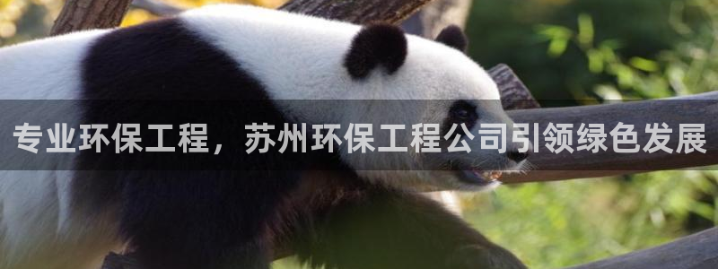 彩名堂5.0版计划怎么用不了：专业环