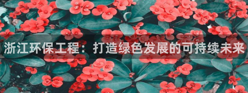 彩名堂.netnet：浙江环保工程：