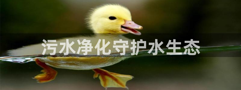 彩名堂怎么打不开了：污水净化守护水生态