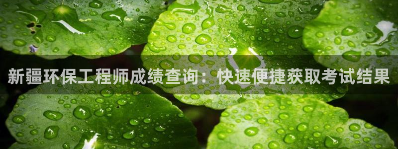 彩名堂免费计划官网怎么进不去了：新疆环保工程师成绩查询：快速便捷获取考试结果