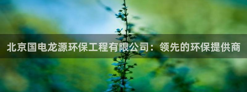彩名堂预测软件与分析：北京国电龙源环