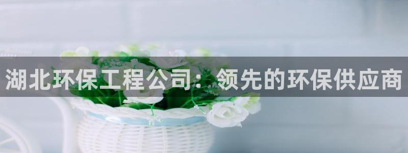 彩名堂改名稻草人了吗：湖北环保工程公