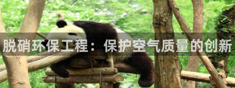 彩名堂预测：脱硝环保工程：保护空气质量的创新