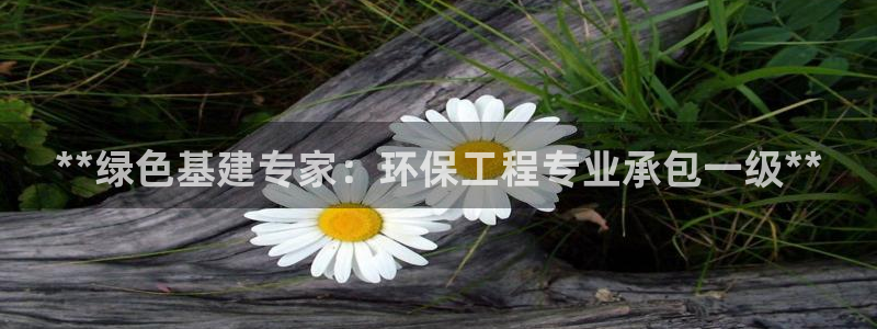 彩名堂官网计划怎么下载：**绿色基建
