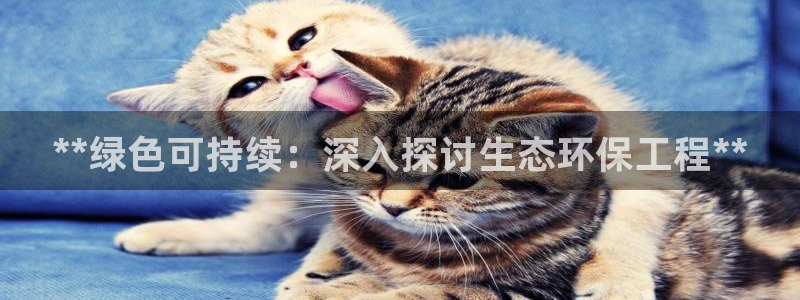 如何进入彩名堂官网更新：**绿色可持续：深入探讨生态环保工程**