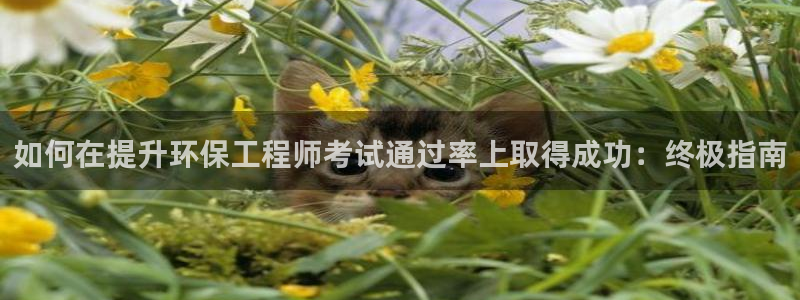 彩名堂为什么突然不能用了：如何在提升环保工程师考试通过率上取得成功：终极指南
