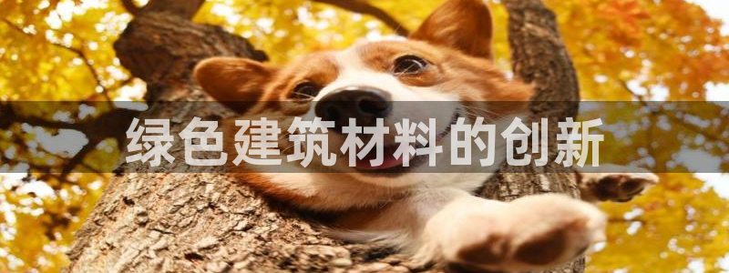 彩名堂3d：绿色建筑材料的创新