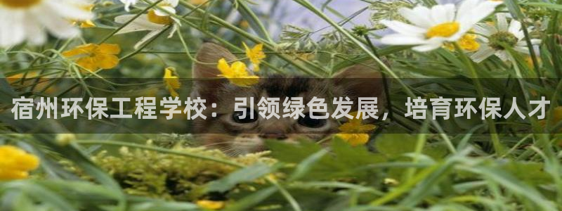 彩名堂是不是坑人的东西：宿州环保工程