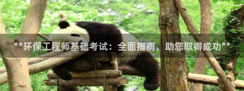 彩名堂改成什么名字了：**环保工程师