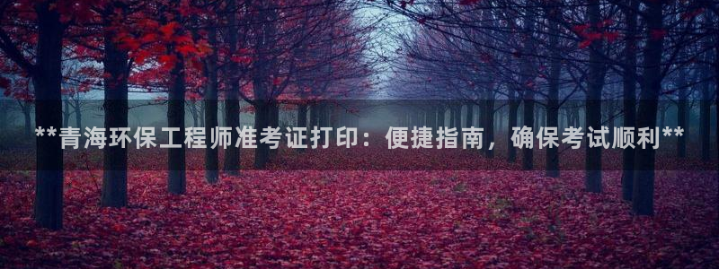 彩名堂计划app新版：**青海环保工程师准考证打印：便捷指南，确保考试顺利**