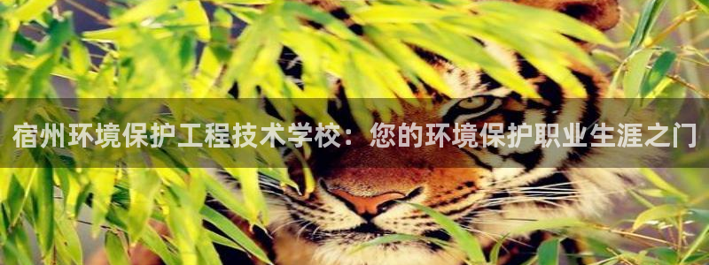 彩名堂苹果客户端怎么下载：宿州环境保