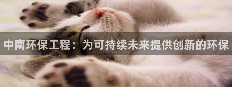 彩名堂app官网：中南环保工程：为可