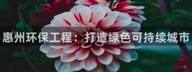 彩名堂最新计划下载地址：惠州环保工程