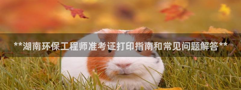 彩名堂计划app新版：**湖南环保工