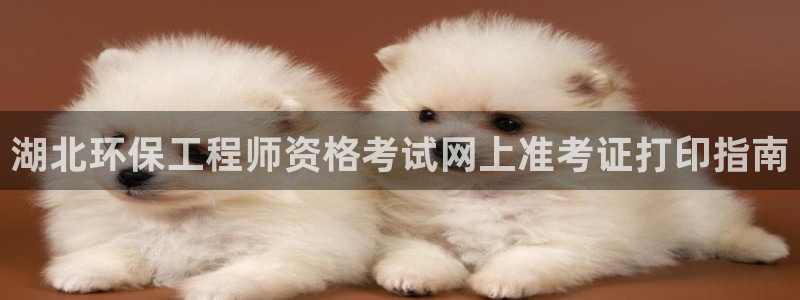 彩名堂4.3：湖北环保工程师资格考试网上准考证打印指南