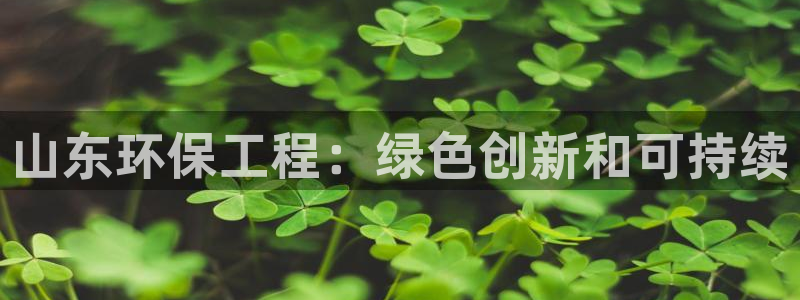 谁知道彩名堂网站是多少：山东环保工程