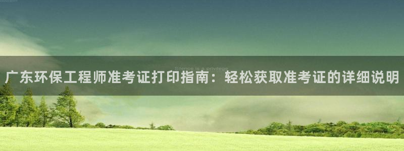 彩名堂是正规的公司吗：广东环保工程师准考证打印指南：轻松获取准考证的详细说明