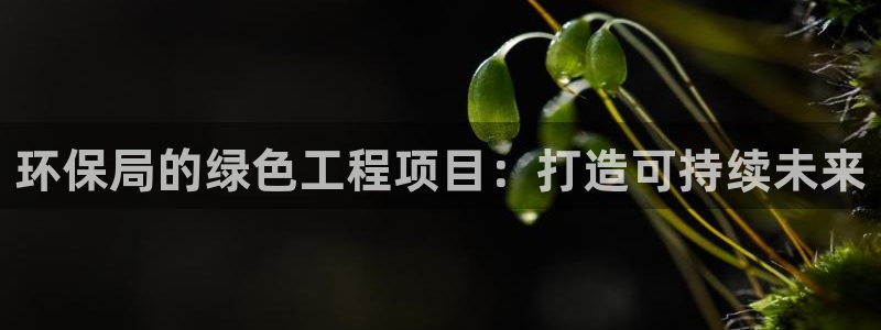 彩名堂全天计划：环保局的绿色工程项目