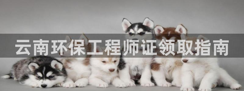 彩名堂最新计划app下载：云南环保工